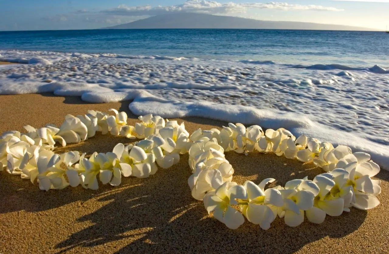 Warm Aloha Vibes, Mountain Views, Short Walk To Beach, And Free Parking Honolulu Apartment