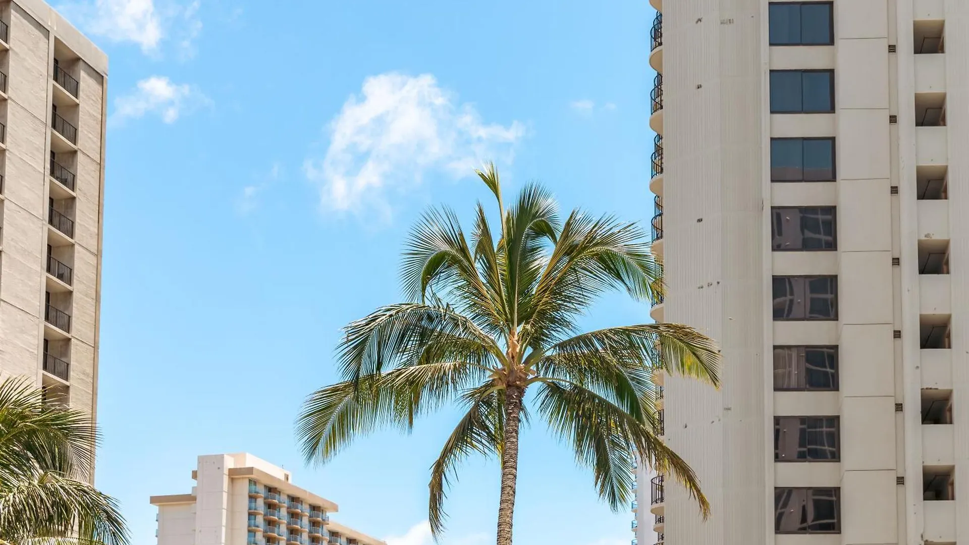 Warm Aloha Vibes, Mountain Views, Short Walk To Beach, And Free Parking Honolulu United States