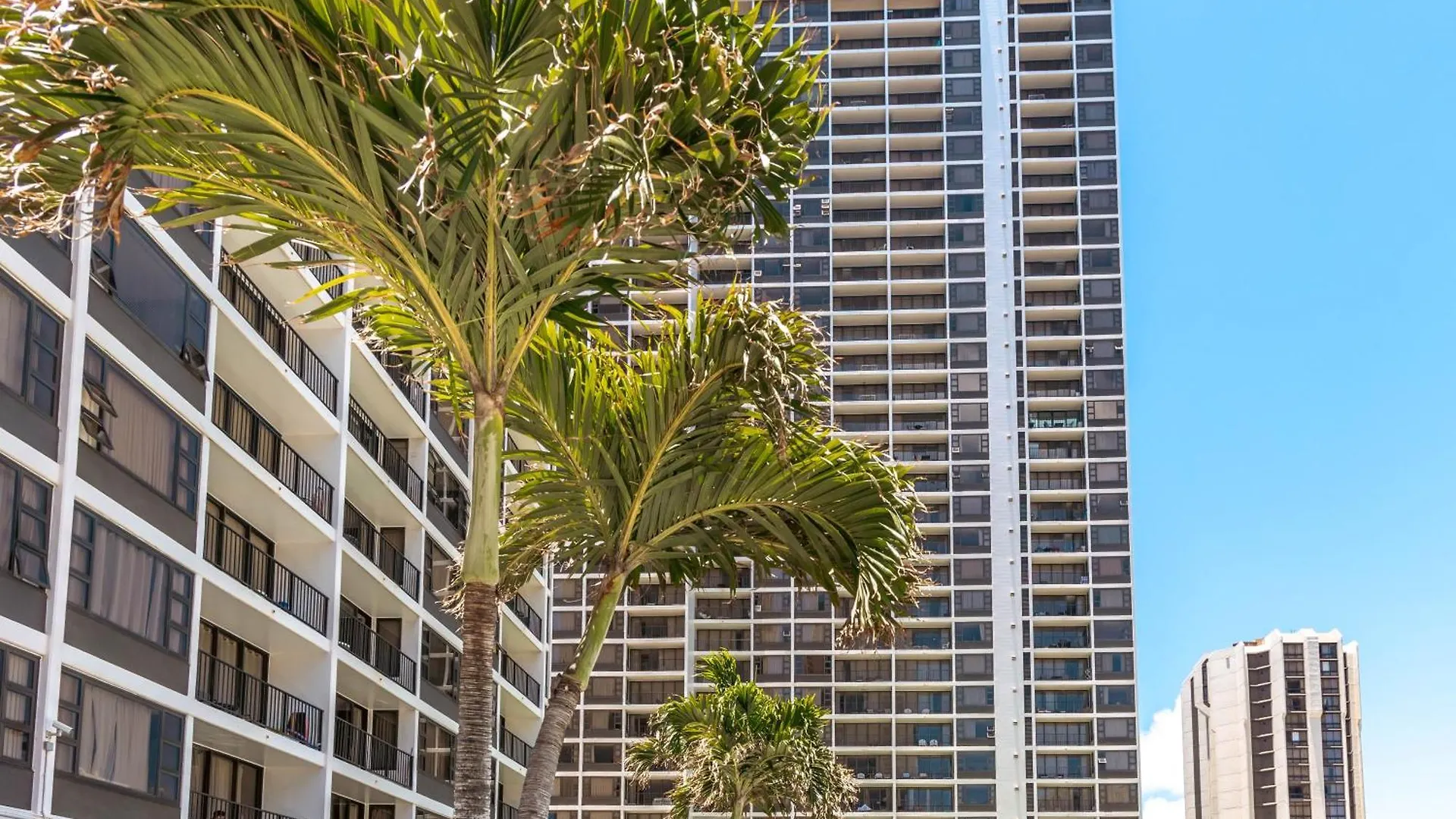 Apartment Warm Aloha Vibes, Mountain Views, Short Walk To Beach, And Free Parking Honolulu